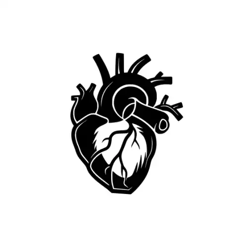 Anatomical Flroal Heart Silhouette SVG Design | SVG Files for Cricut & Print