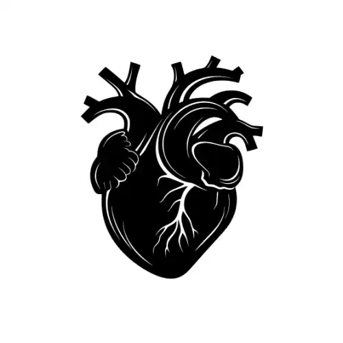 Anatomical Flroal Heart Silhouette SVG Design | SVG Files for Cricut & Print