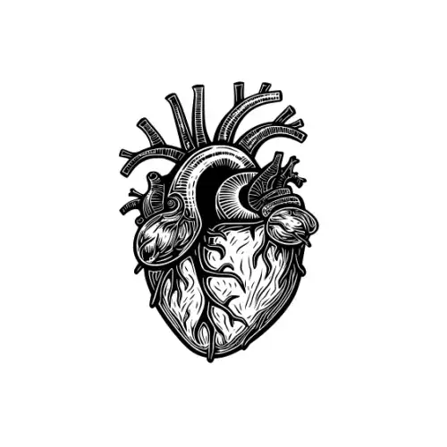 Anatomical Flroal Heart Silhouette SVG Design | SVG Files for Cricut & Print