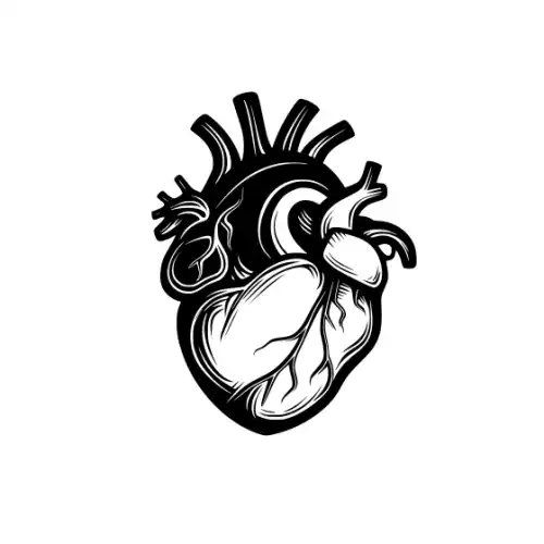 Anatomical Flroal Heart Silhouette SVG Design | SVG Files for Cricut & Print