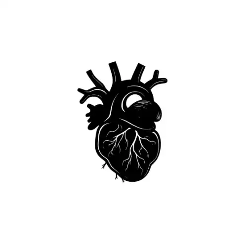 Anatomical Flroal Heart Silhouette SVG Design | SVG Files for Cricut & Print