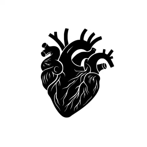 Anatomical Flroal Heart Silhouette SVG Design | SVG Files for Cricut & Print