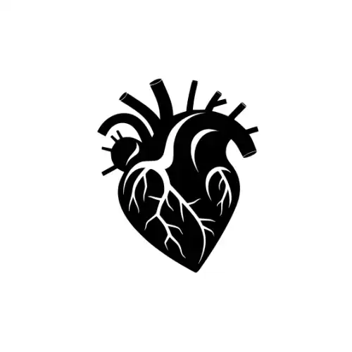 Anatomical Flroal Heart Silhouette SVG Design | SVG Files for Cricut & Print