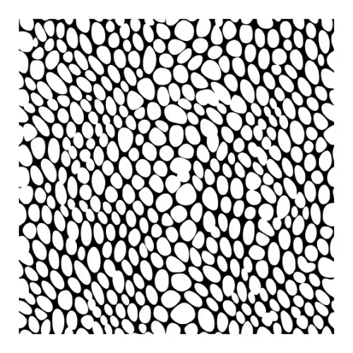 Animal Skin Pattern Silhouette SVG Design | SVG Files for Cricut & Print