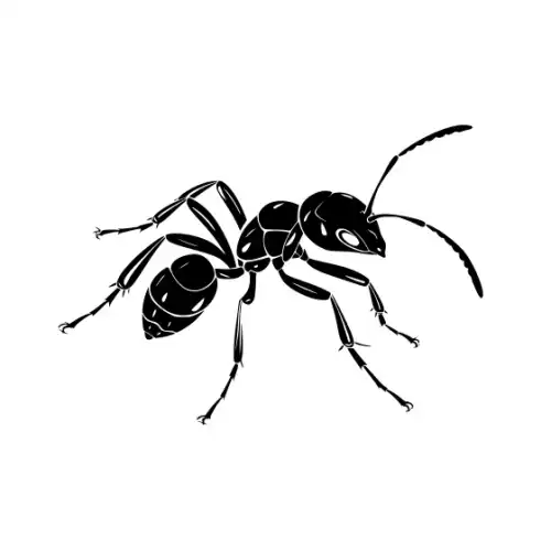 Ant Silhouette SVG Design | SVG Files for Cricut & Print