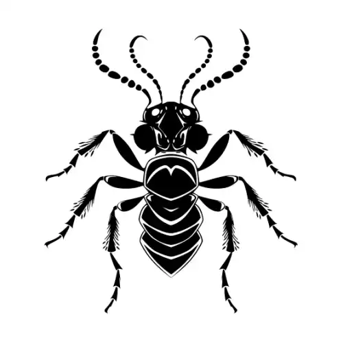 Ant Silhouette SVG Design | SVG Files for Cricut & Print