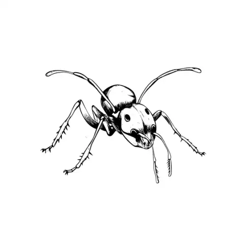 Ant Silhouette SVG Design | SVG Files for Cricut & Print