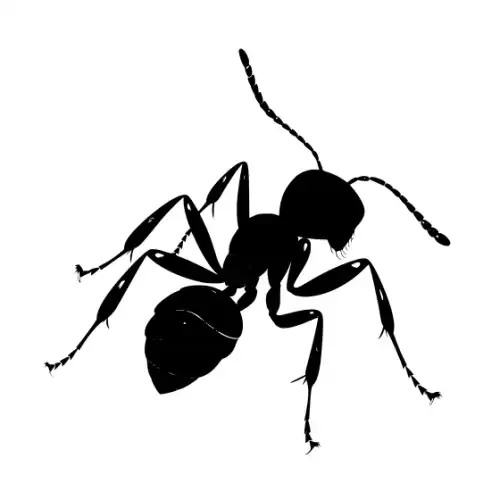 Ant Silhouette SVG Design | SVG Files for Cricut & Print
