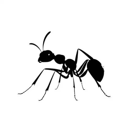 Ant Silhouette SVG Design | SVG Files for Cricut & Print