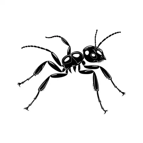 Ant Silhouette SVG Design | SVG Files for Cricut & Print