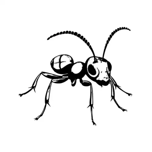 Ant Silhouette SVG Design | SVG Files for Cricut & Print