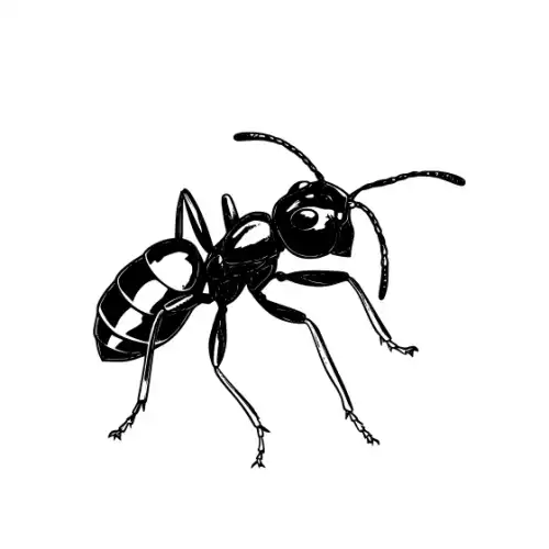 Ant Silhouette SVG Design | SVG Files for Cricut & Print
