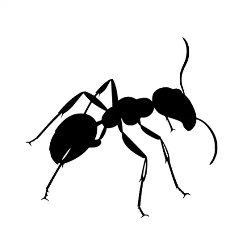 Ant Silhouette SVG Design | SVG Files for Cricut & Print