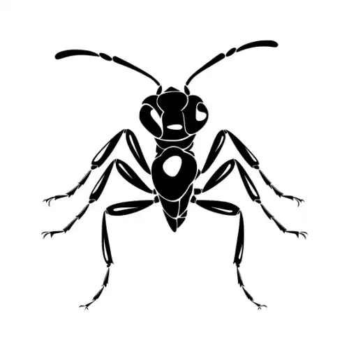 Ant Silhouette SVG Design | SVG Files for Cricut & Print