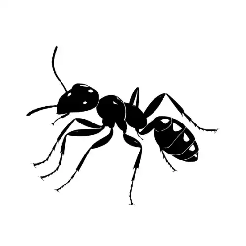 Ant Silhouette SVG Design | SVG Files for Cricut & Print