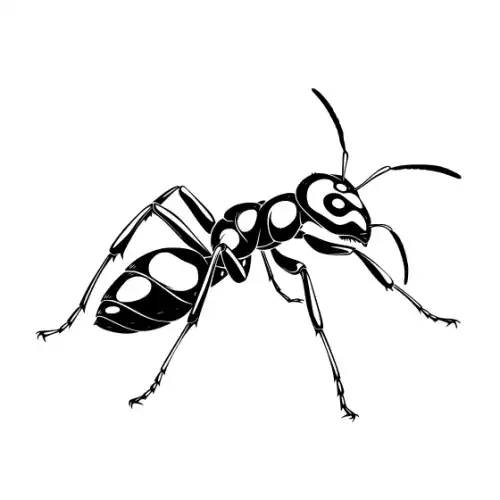 Ant Silhouette SVG Design | SVG Files for Cricut & Print
