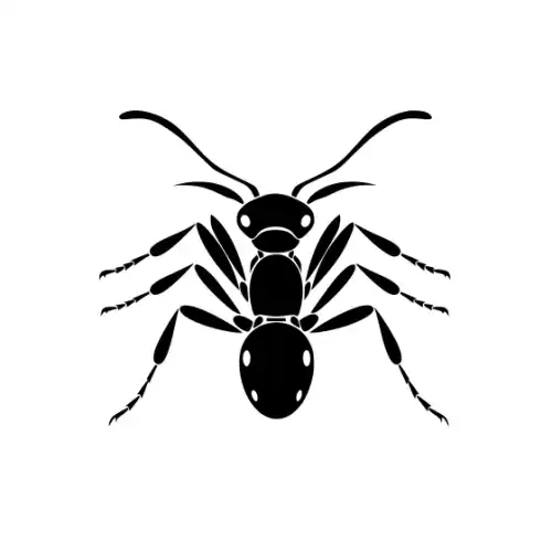 Ant Silhouette SVG Design | SVG Files for Cricut & Print