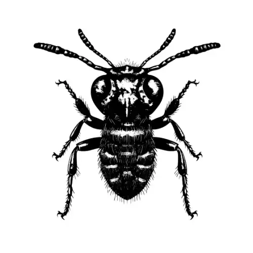 Ant Silhouette SVG Design | SVG Files for Cricut & Print
