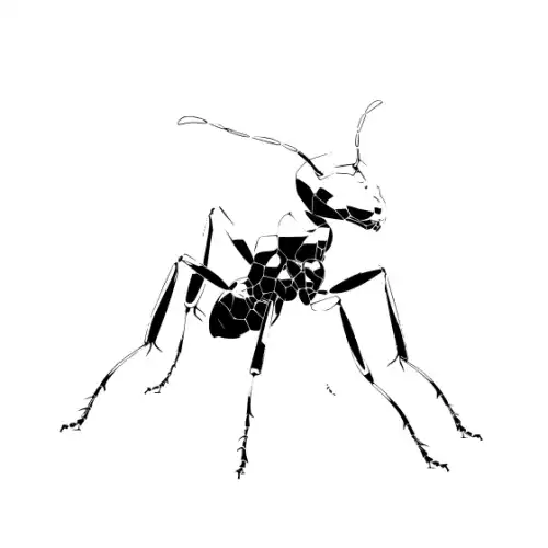 Ant Silhouette SVG Design | SVG Files for Cricut & Print