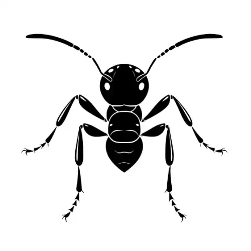 Ant Silhouette SVG Design | SVG Files for Cricut & Print