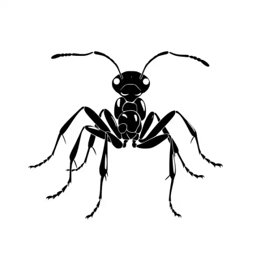 Ant Silhouette SVG Design | SVG Files for Cricut & Print
