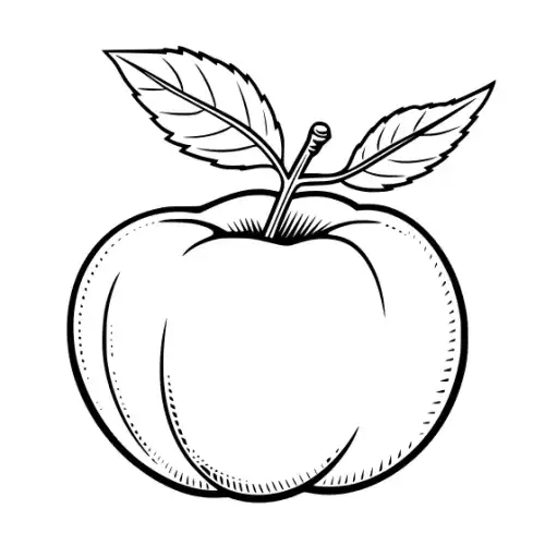Apple Fruit Silhouette SVG Design | SVG Files for Cricut & Print