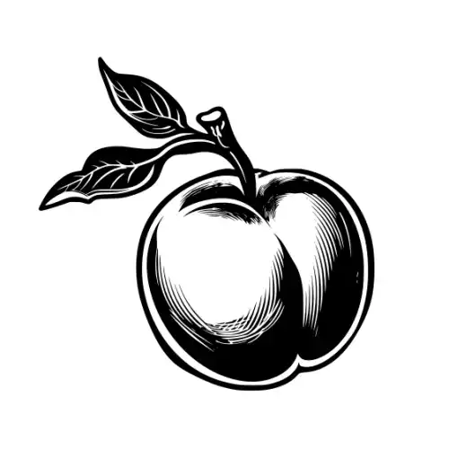 Apple Fruit Silhouette SVG Design | SVG Files for Cricut & Print