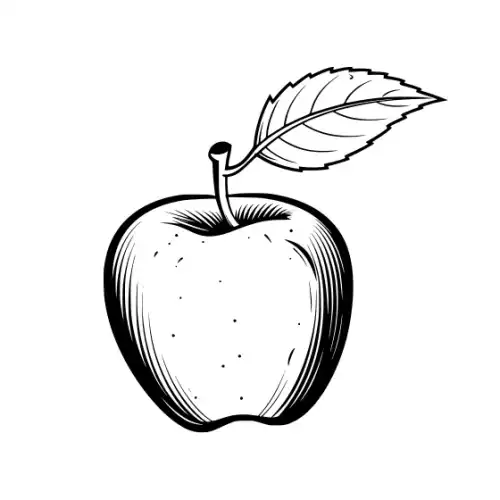 Apple Fruit Silhouette SVG Design | SVG Files for Cricut & Print