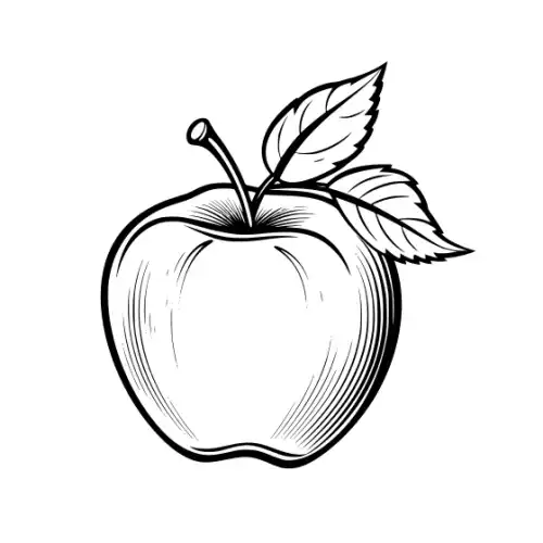 Apple Fruit Silhouette SVG Design | SVG Files for Cricut & Print