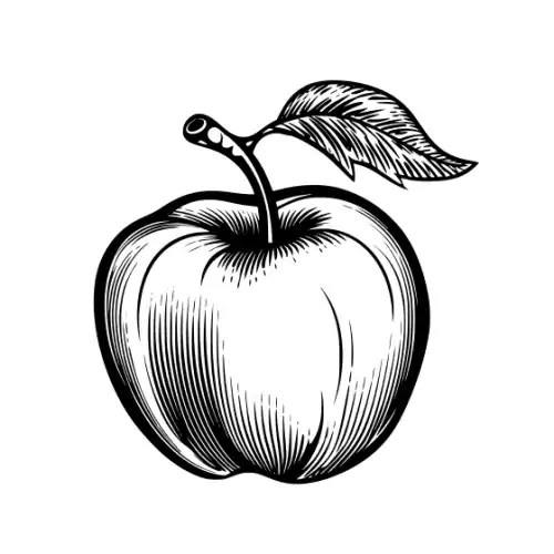 Apple Fruit Silhouette SVG Design | SVG Files for Cricut & Print