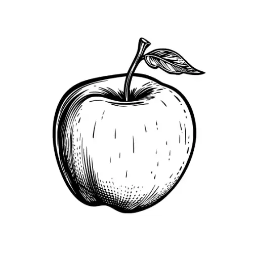 Apple Fruit Silhouette SVG Design | SVG Files for Cricut & Print