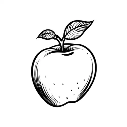 Apple Fruit Silhouette SVG Design | SVG Files for Cricut & Print