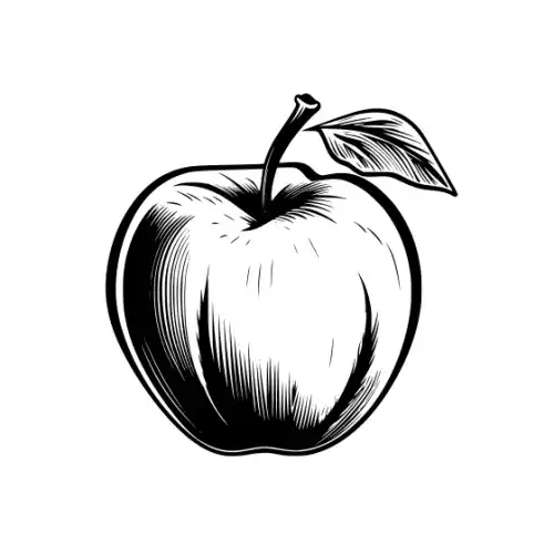 Apple Fruit Silhouette SVG Design | SVG Files for Cricut & Print