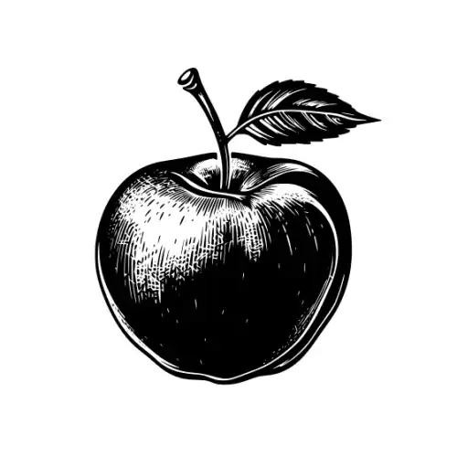 Apple Fruit Silhouette SVG Design | SVG Files for Cricut & Print