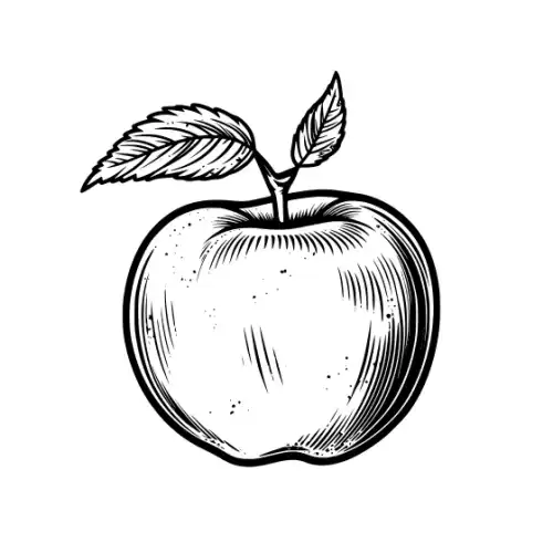 Apple Fruit Silhouette SVG Design | SVG Files for Cricut & Print