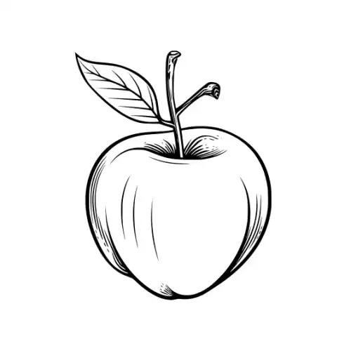 Apple Fruit Silhouette SVG Design | SVG Files for Cricut & Print