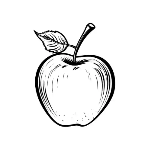 Apple Fruit Silhouette SVG Design | SVG Files for Cricut & Print