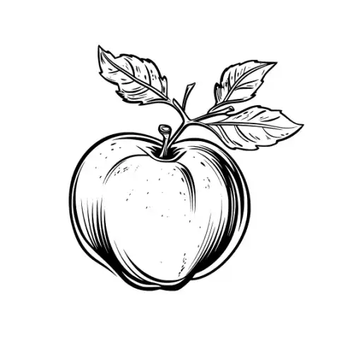 Apple Fruit Silhouette SVG Design | SVG Files for Cricut & Print