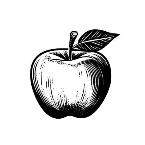 Apple Fruit Silhouette SVG Design | SVG Files for Cricut & Print