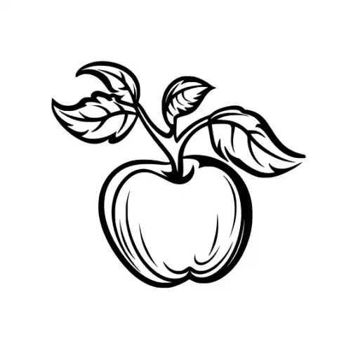 Apple Fruit Silhouette SVG Design | SVG Files for Cricut & Print