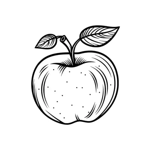Apple Fruit Silhouette SVG Design | SVG Files for Cricut & Print