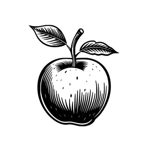 Apple Fruit Silhouette SVG Design | SVG Files for Cricut & Print