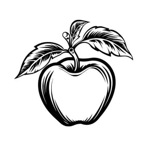 Apple Fruit Silhouette SVG Design | SVG Files for Cricut & Print