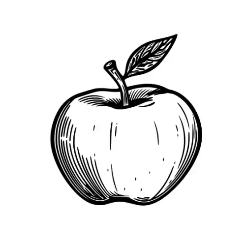 Apple Fruit Silhouette SVG Design | SVG Files for Cricut & Print