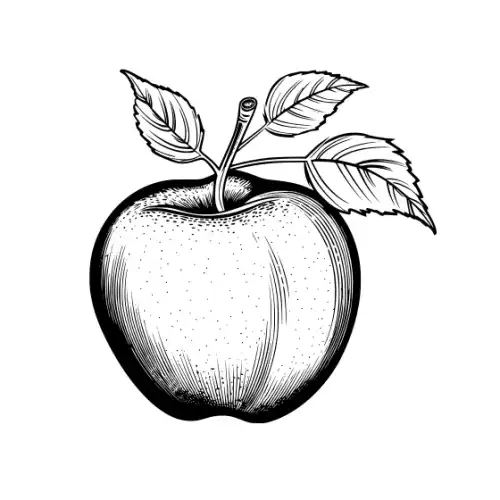 Apple Fruit Silhouette SVG Design | SVG Files for Cricut & Print