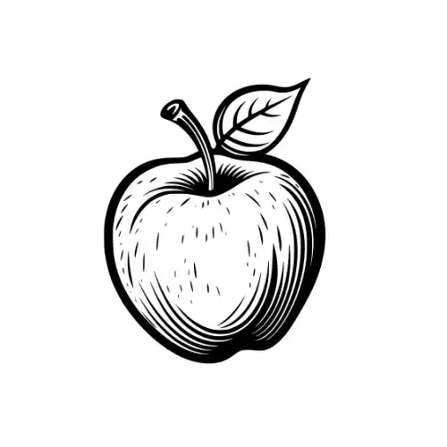 Apple Fruit Silhouette SVG Design | SVG Files for Cricut & Print