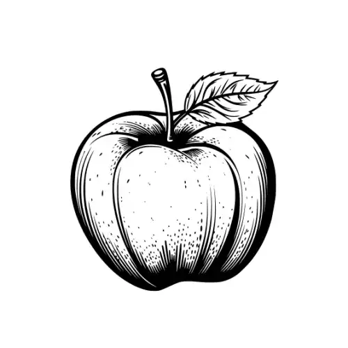 Apple Fruit Silhouette SVG Design | SVG Files for Cricut & Print