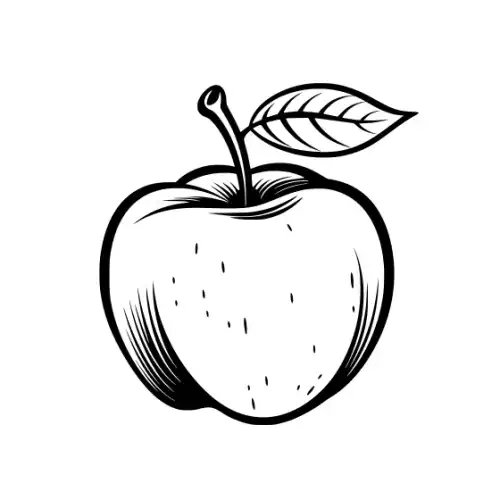 Apple Fruit Silhouette SVG Design | SVG Files for Cricut & Print