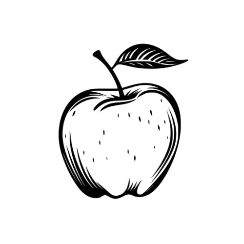 Apple Fruit Silhouette SVG Design | SVG Files for Cricut & Print