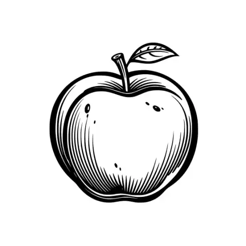 Apple Fruit Silhouette SVG Design | SVG Files for Cricut & Print